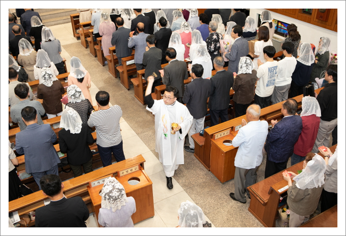 [꾸미기]2024 06 02 견진성사-3991.jpg